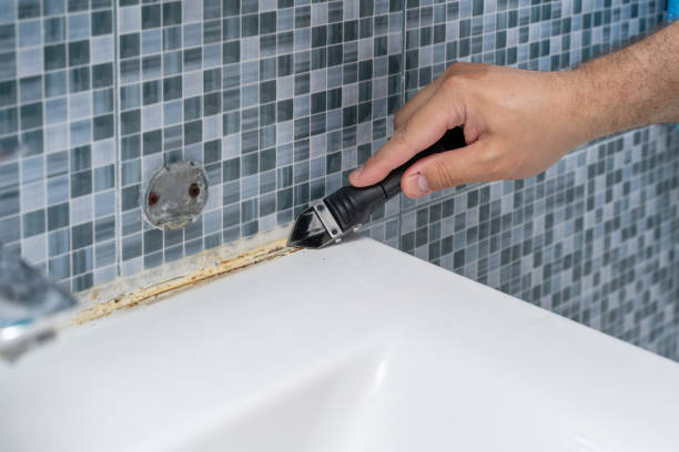 Best Mold Removal Process  in New Berlin, IL