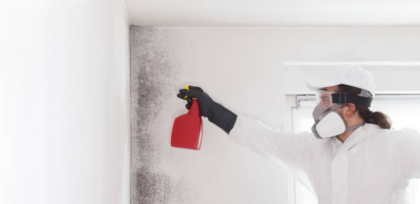 Best Crawl Space Mold Removal  in New Berlin, IL