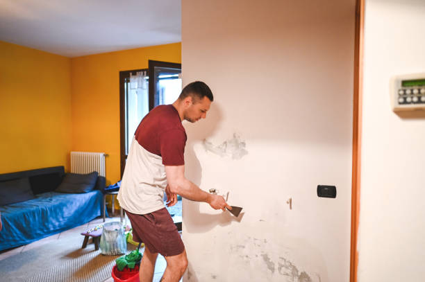 Office Mold Removal Services in New Berlin, IL